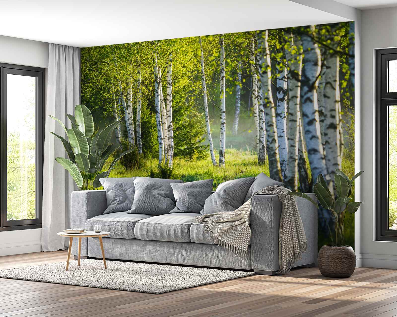 Фотошпалери Луки, прикрашені величними березами, пофарбовані в яскраво-зелений колір