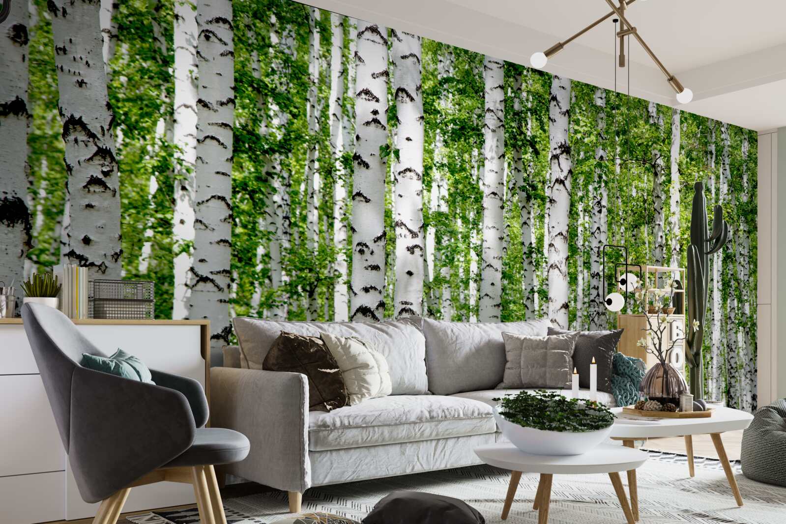 Фотошпалери яскраве листя витончених беріз