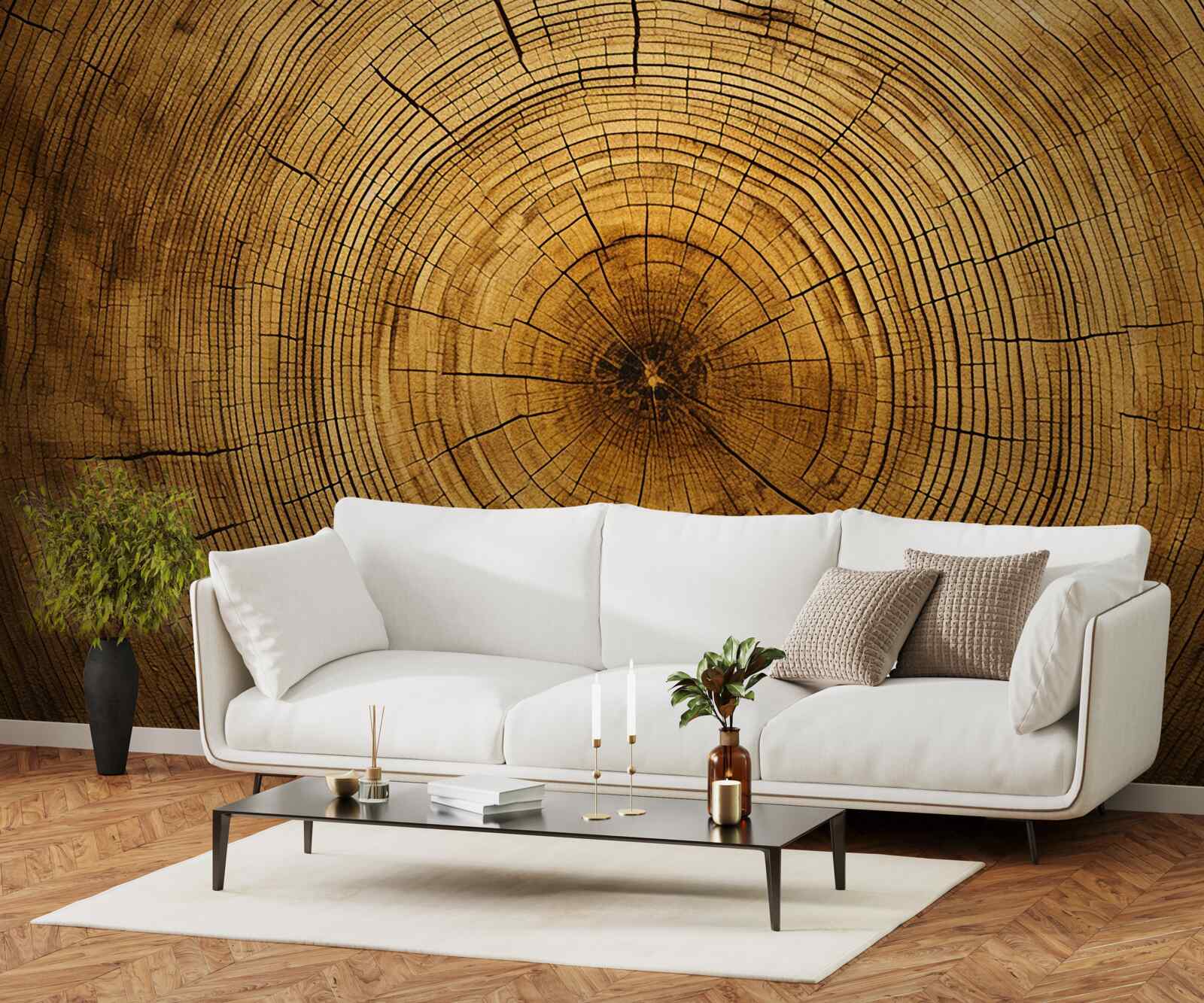 Фотошпалери фрагменти дерев'яного стовпа, багатого на багатовікові нашарування