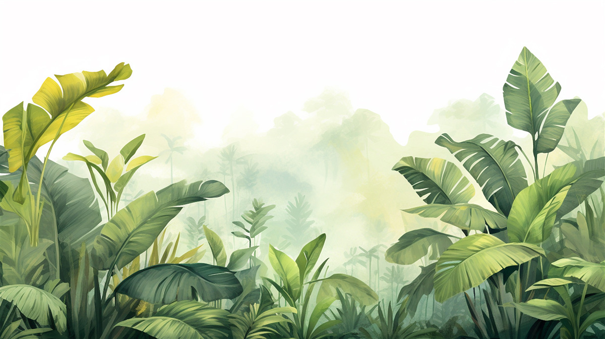 Фотошпалери Світанок у тропічному лісі