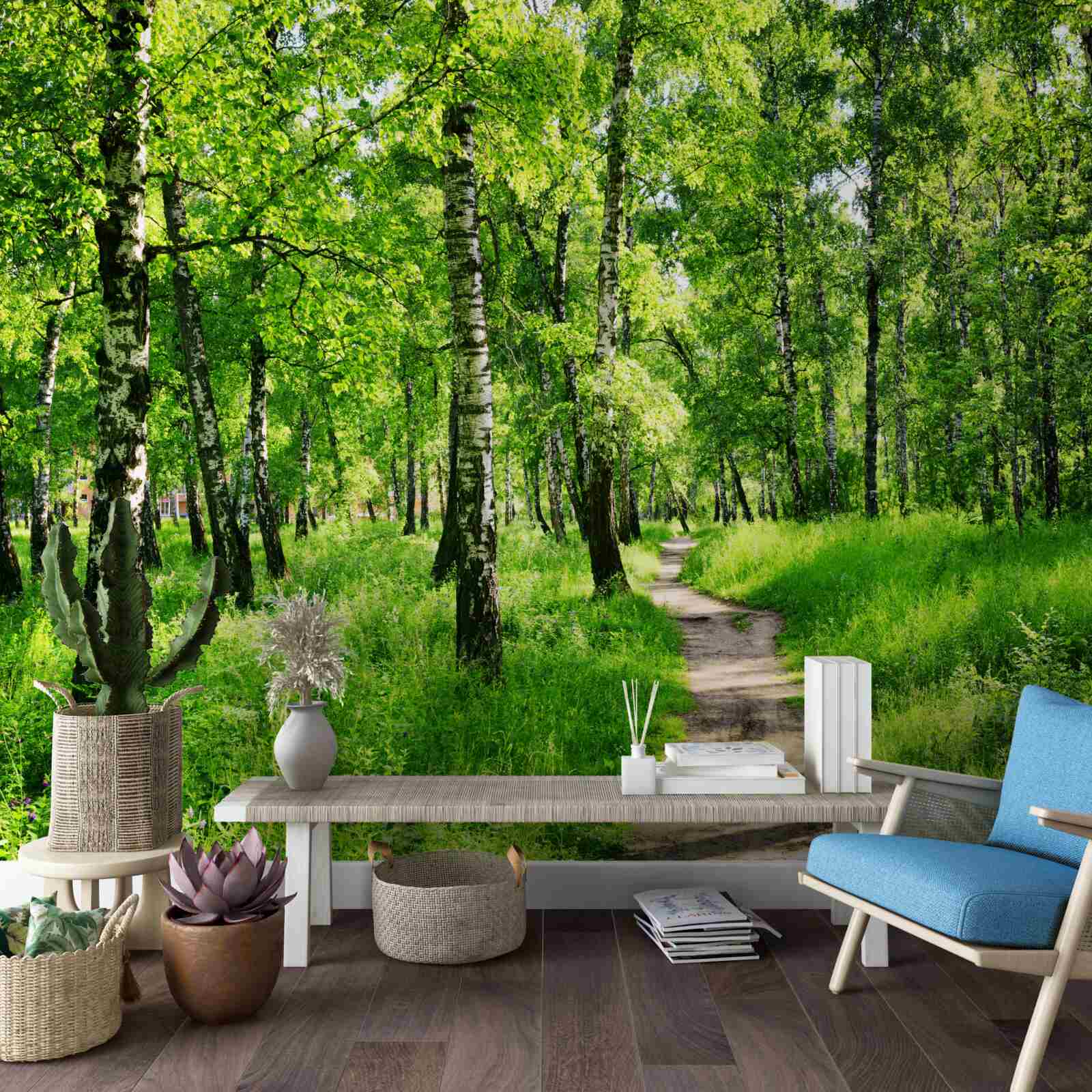 Фотошпалери Стежка через березовий гай