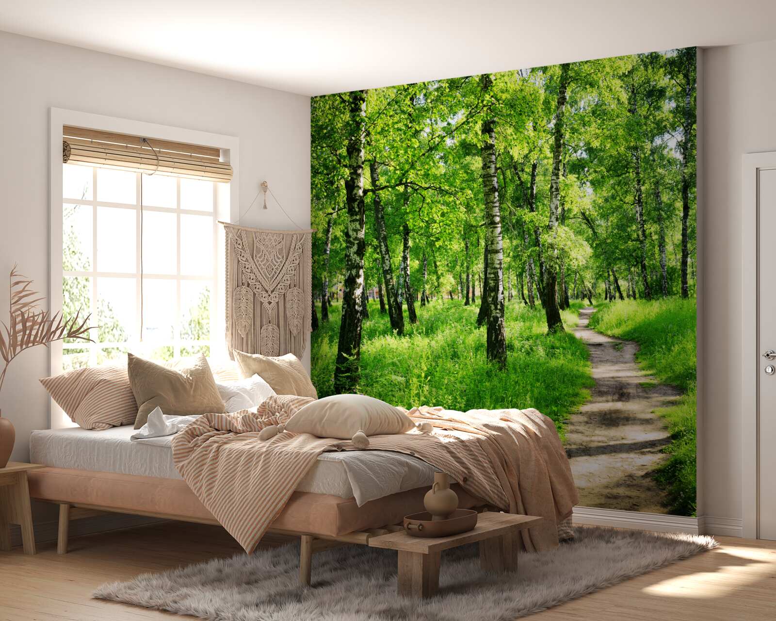 Фотошпалери Стежка через березовий гай