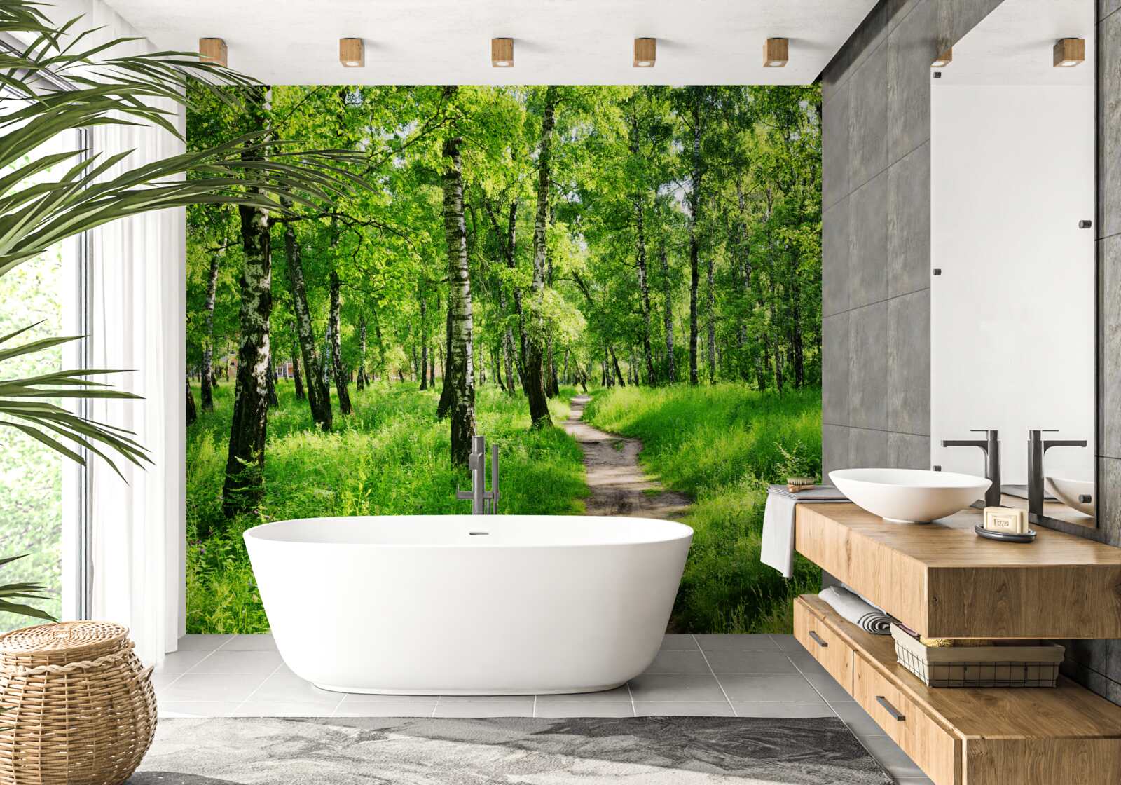 Фотошпалери Стежка через березовий гай