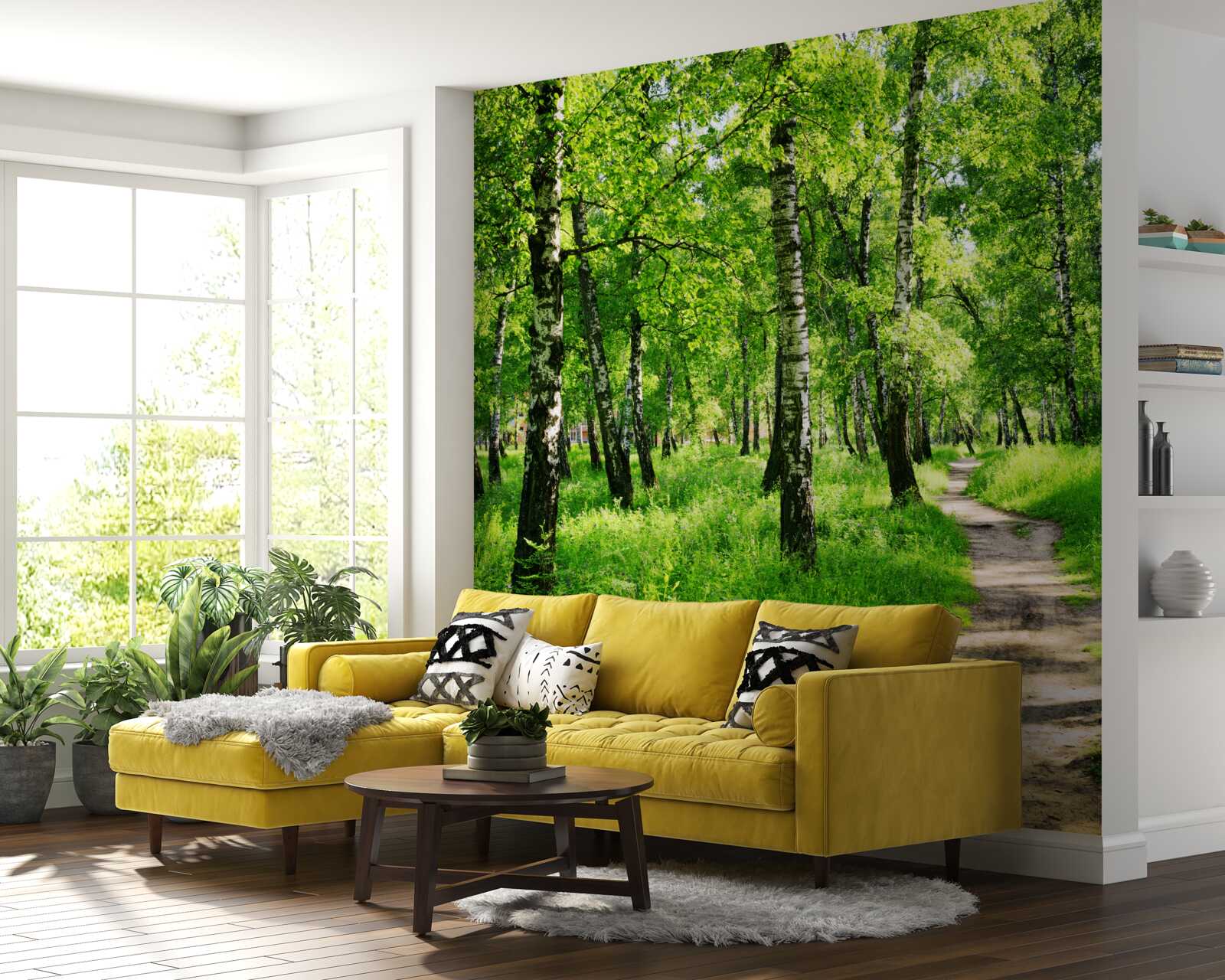 Фотошпалери Стежка через березовий гай