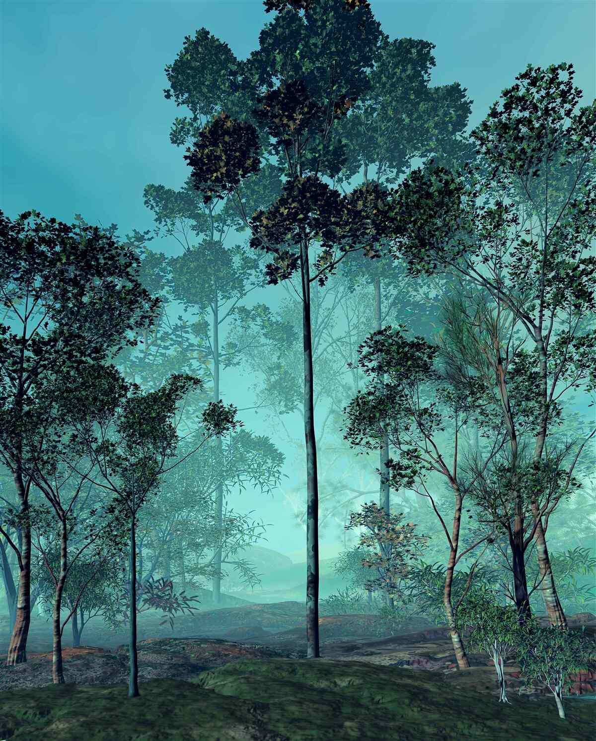 Фотошпалери чарівний ліс, оповитий густим туманом