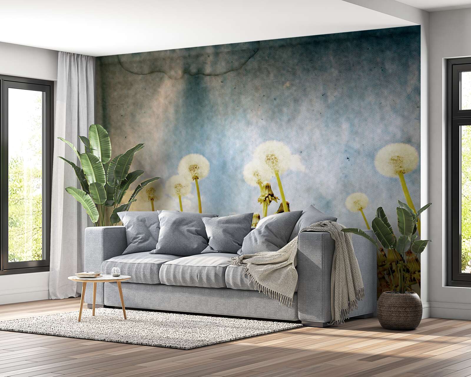 Фотошпалери захід сонця зустрічають витончені кульбаби