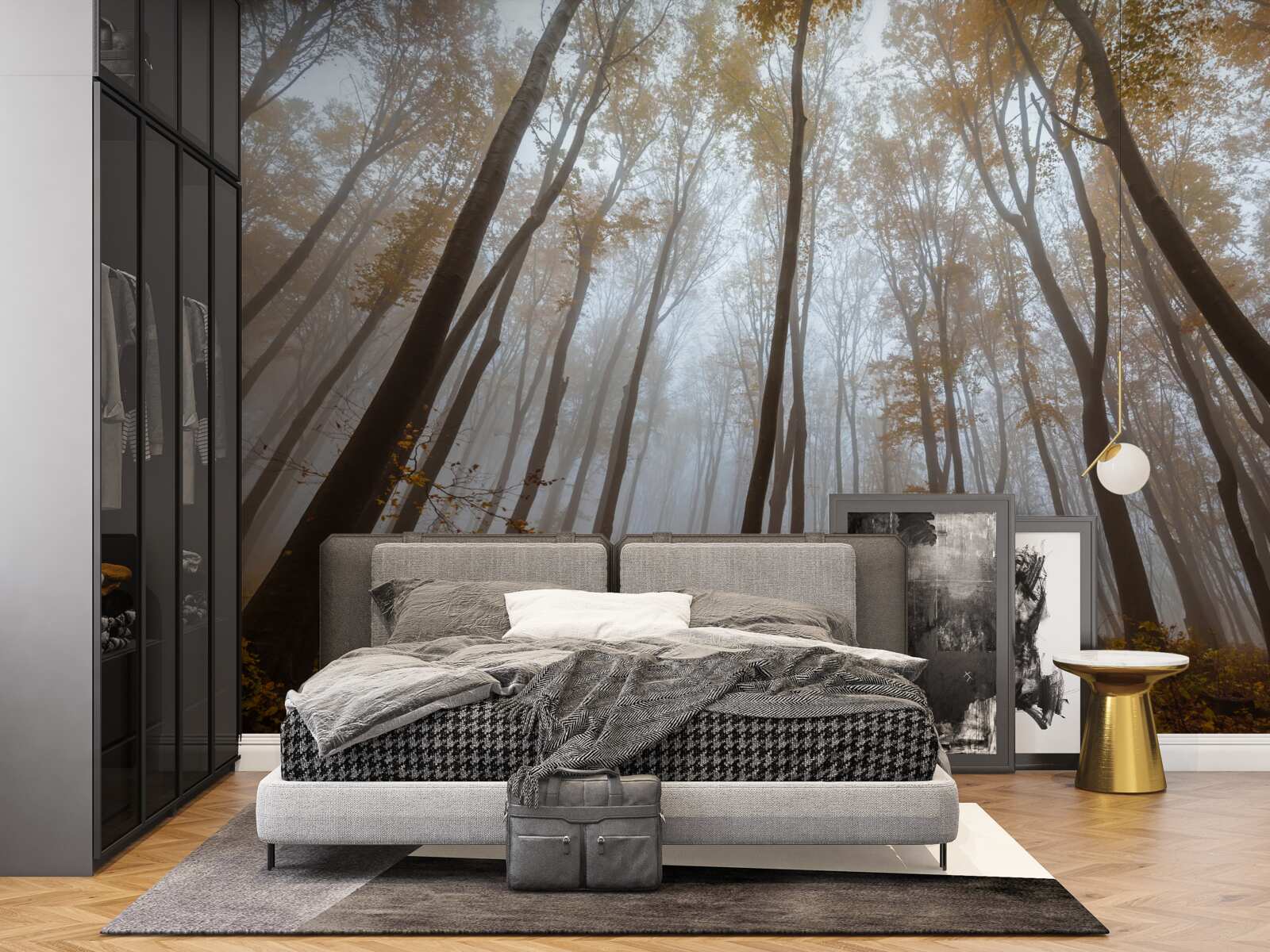 Фотошпалери стрункі, високі дерева восени