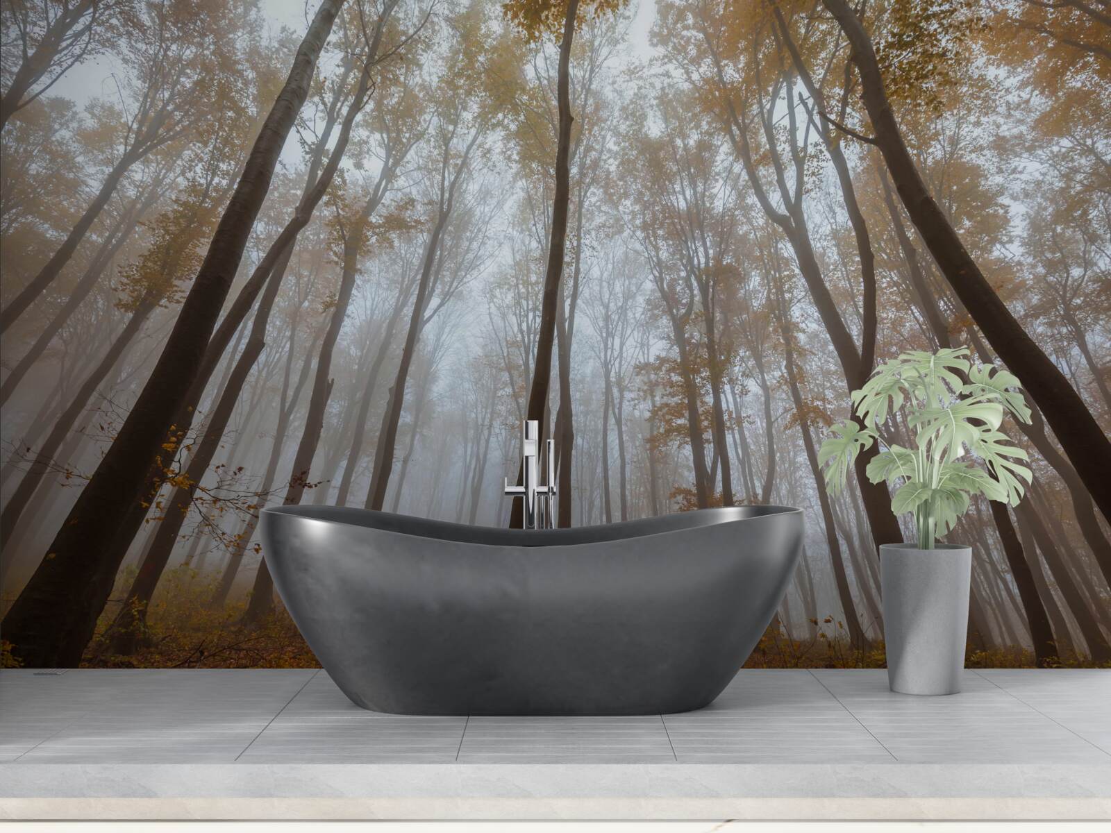 Фотошпалери стрункі, високі дерева восени