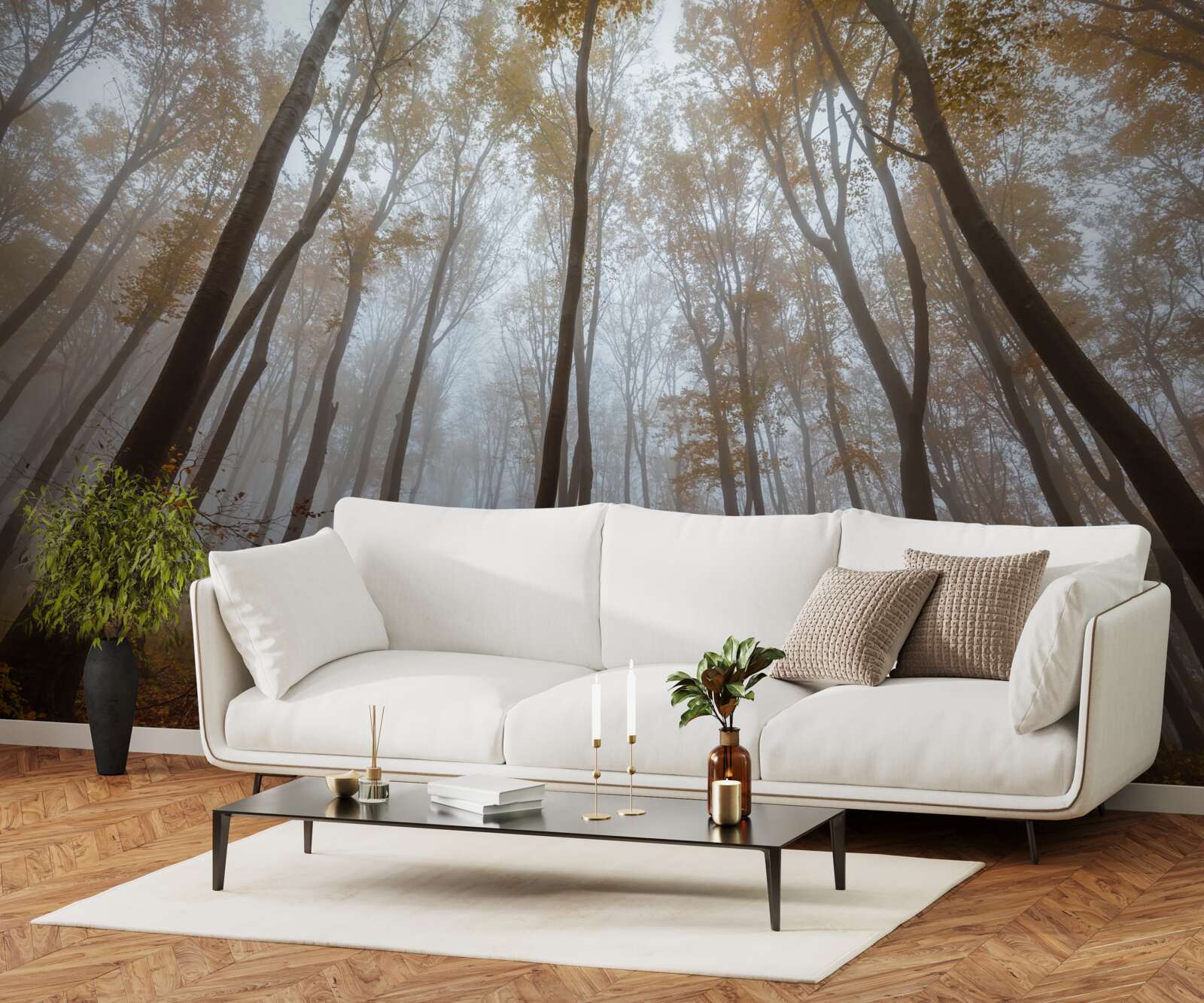 Фотошпалери стрункі, високі дерева восени