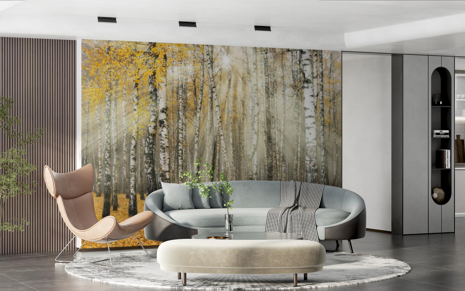 Фотошпалери Опале березове листя в осінньому лісі