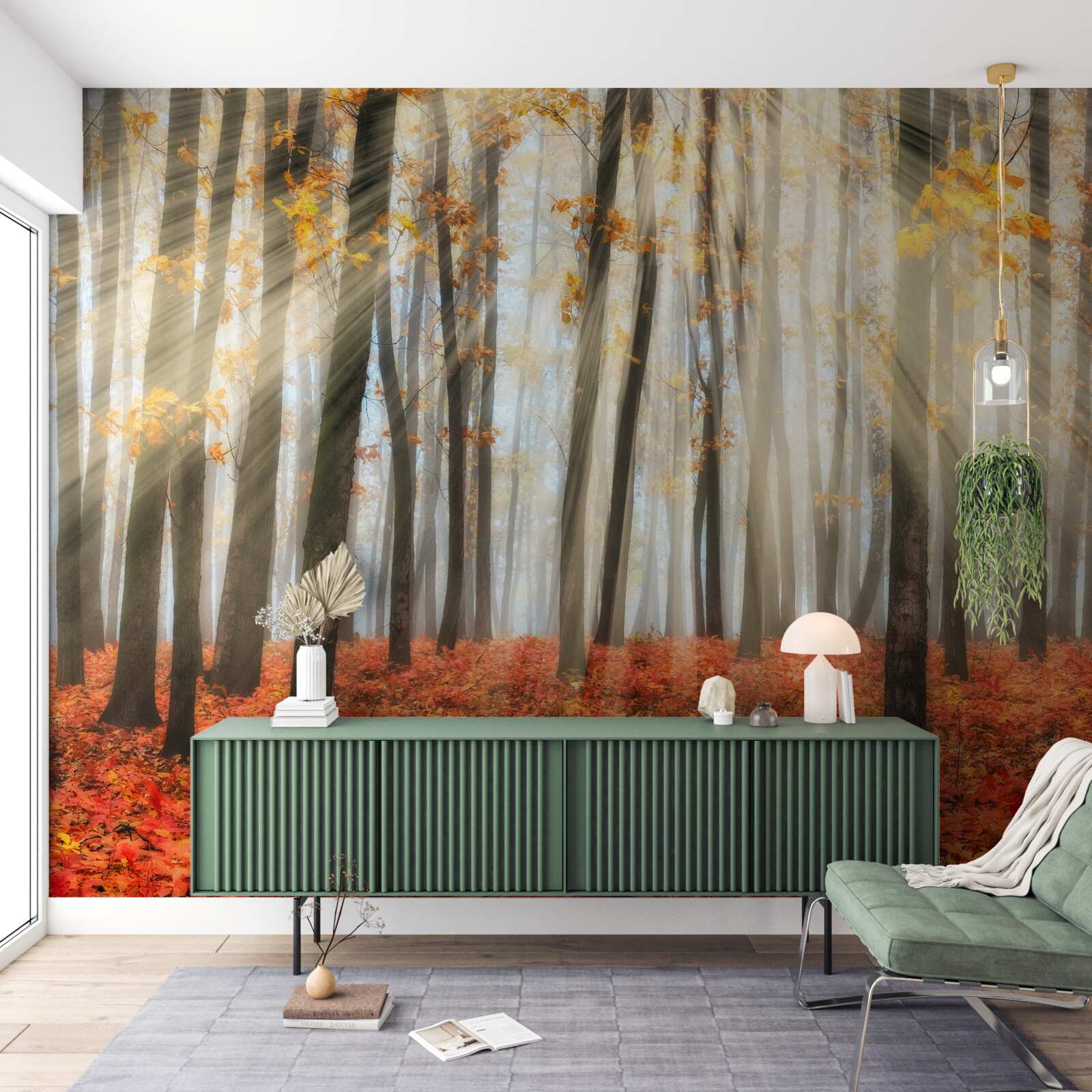 Фотошпалери сонячне світло і витончені осінні дерева, які втратили листя