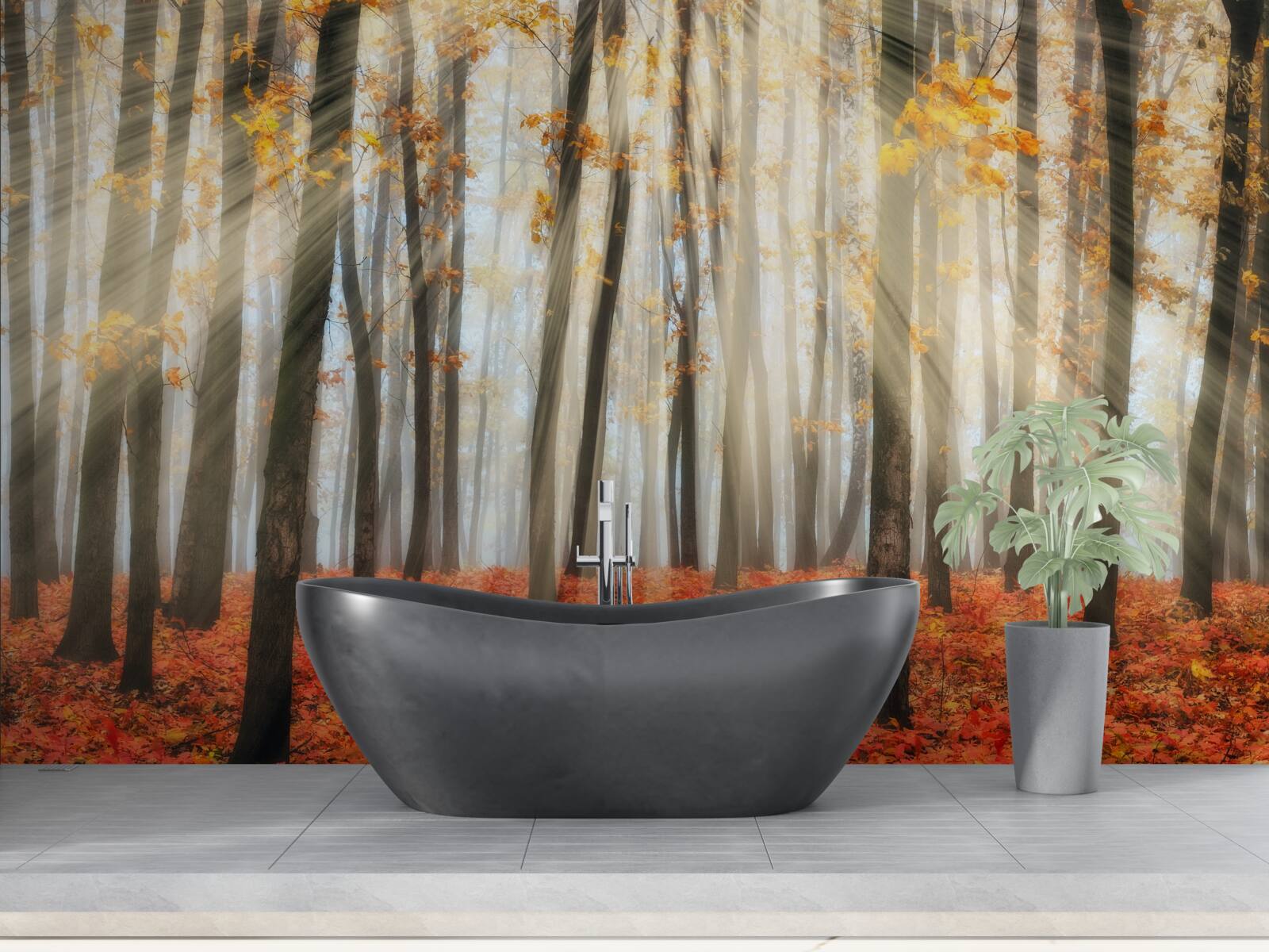 Фотошпалери сонячне світло і витончені осінні дерева, які втратили листя