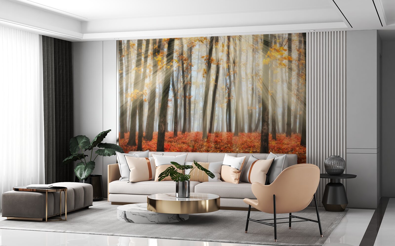 Фотошпалери сонячне світло і витончені осінні дерева, які втратили листя