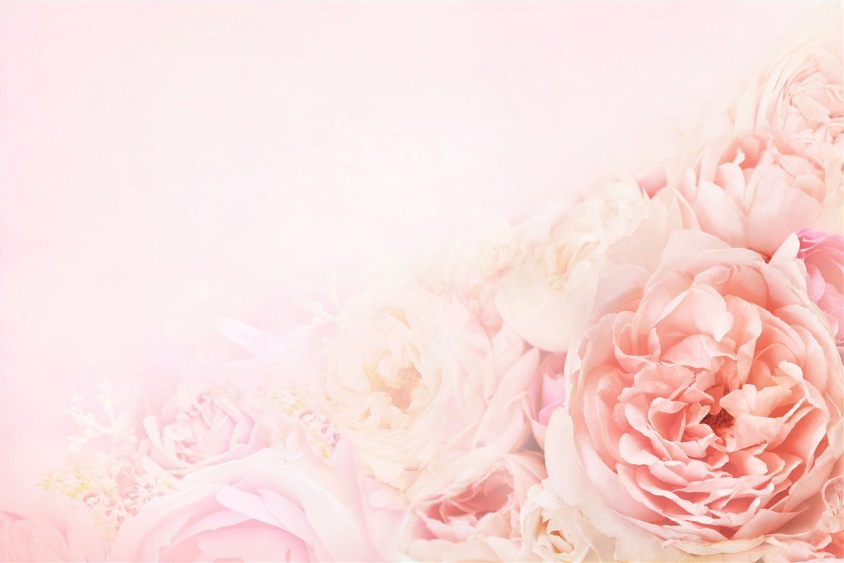 Фотошпалери тонкі рожеві квіти