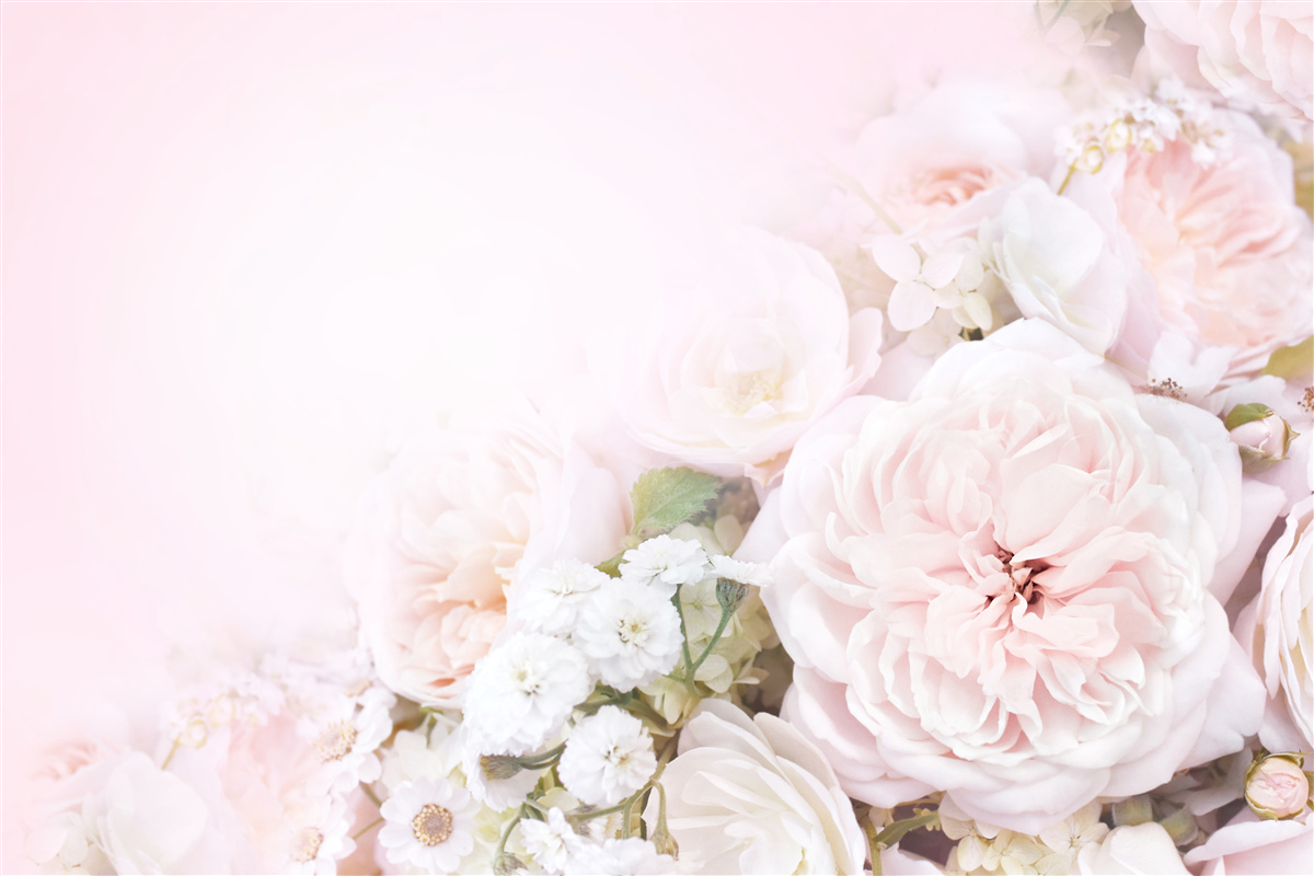 Фотошпалери яскраве тло прикрашене ніжними квітами