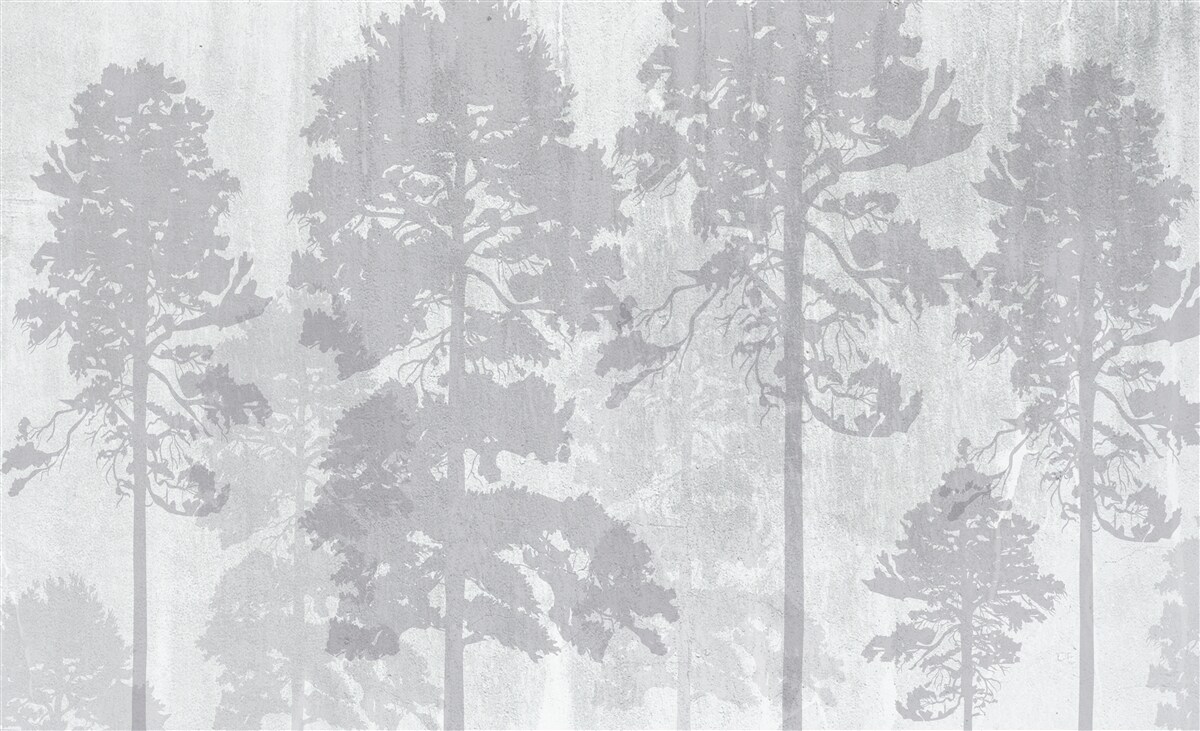 Фотошпалери Туманні контури лісових дерев на узліссі виглядають стрункими