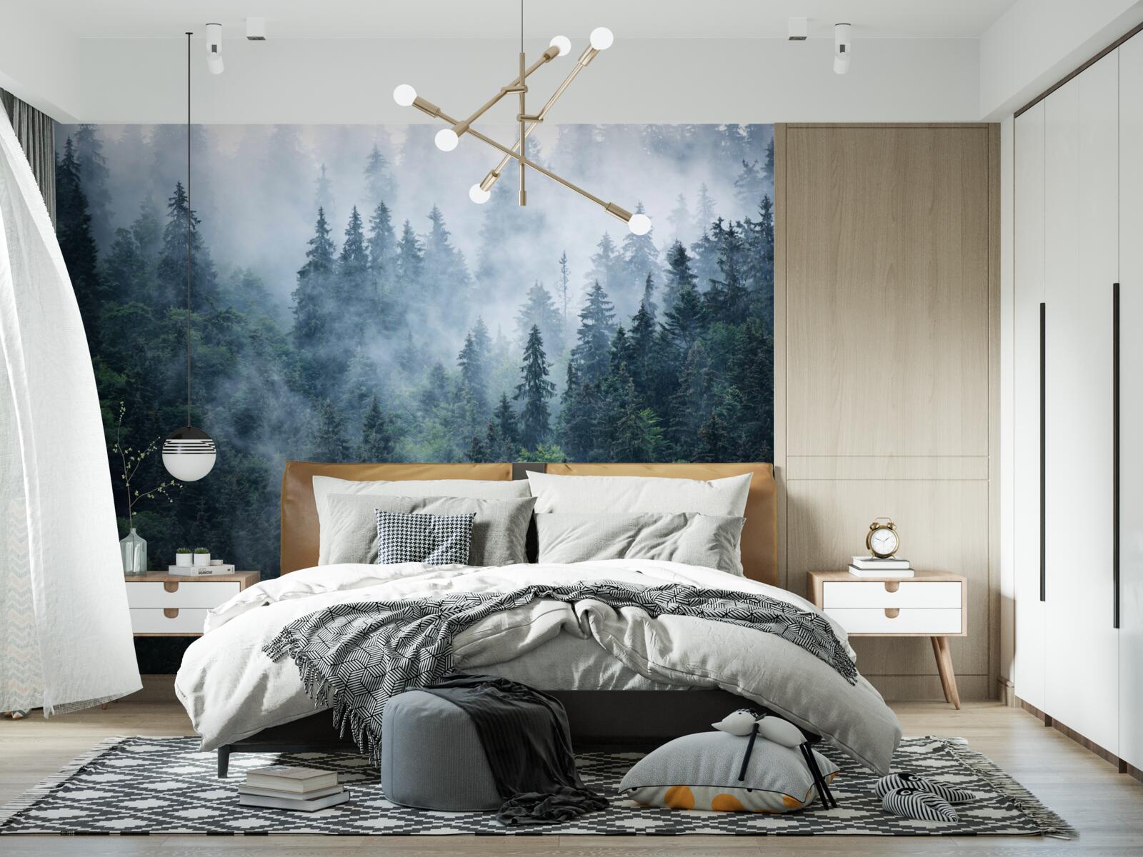 Фотошпалери туман опускається на ялиновий гай