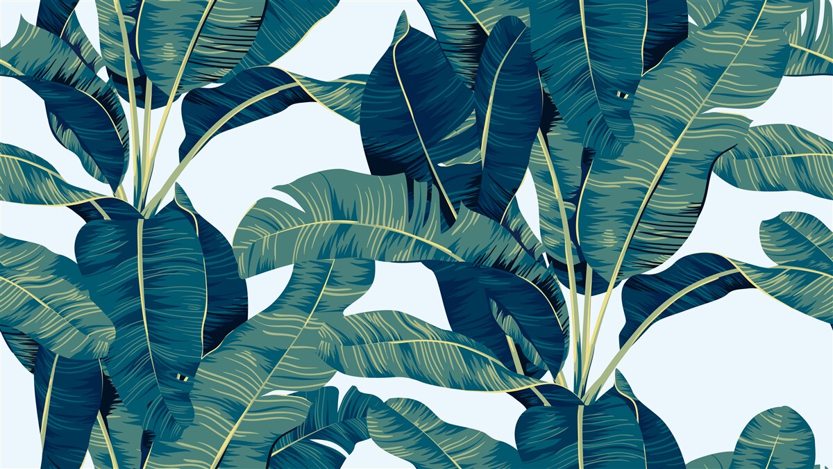 Фотошпалери темно-зелене листя папороті з вкрапленнями