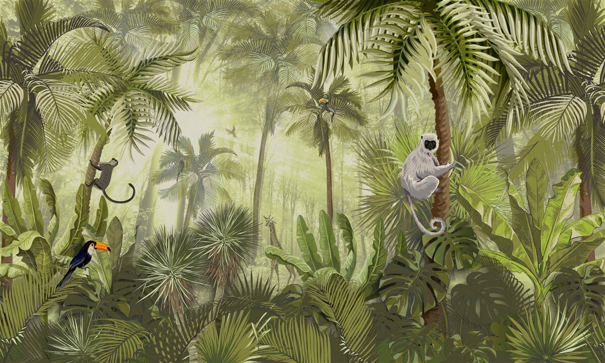 Фотошпалери ранковий туман у тропічних регіонах