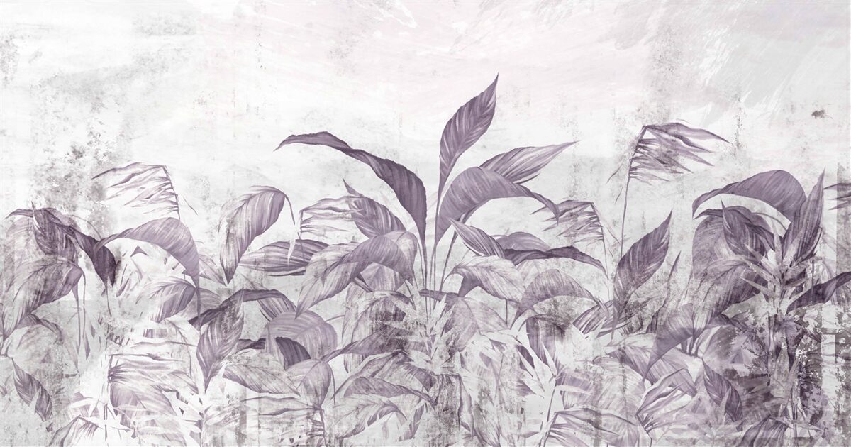 Фотошпалери тропічна флора і рослинність під час проливних дощів