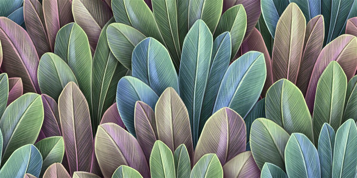 Фотошпалери тонкощі кольорового спектру осіннього лісового листя