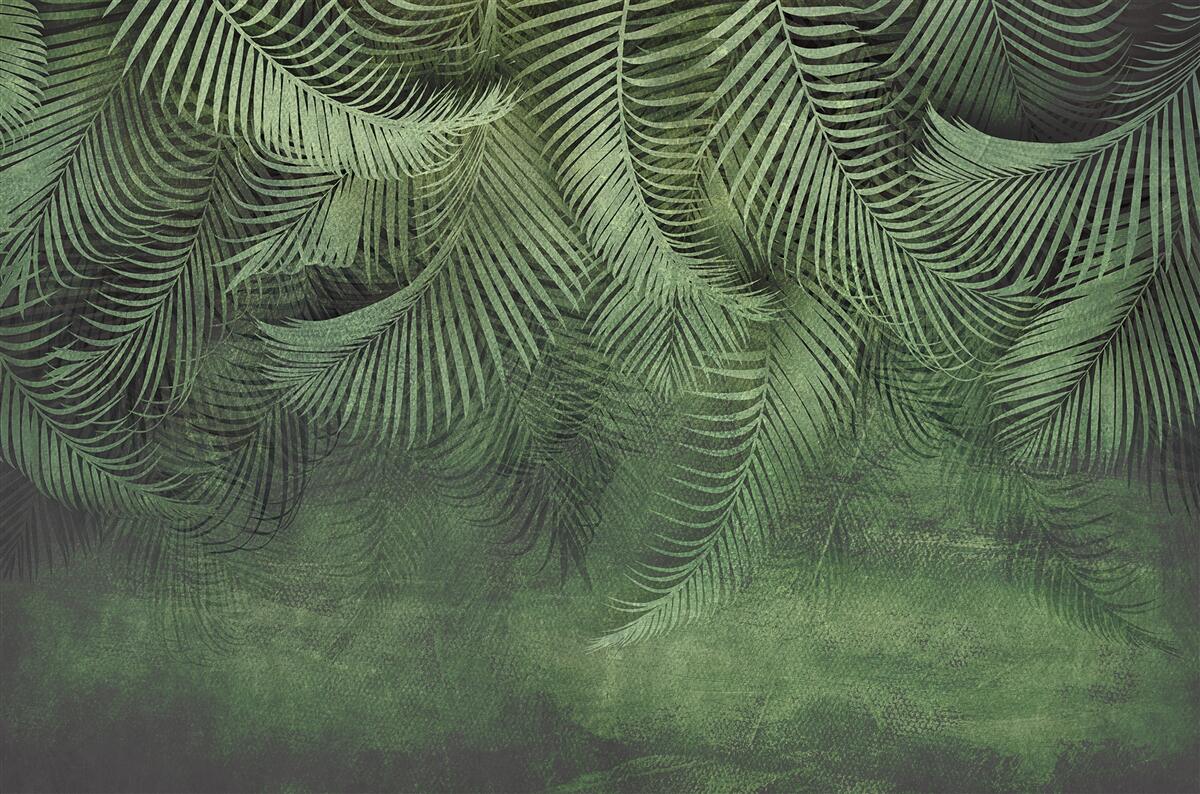 Фотошпалери листя вечірньої пальми густе