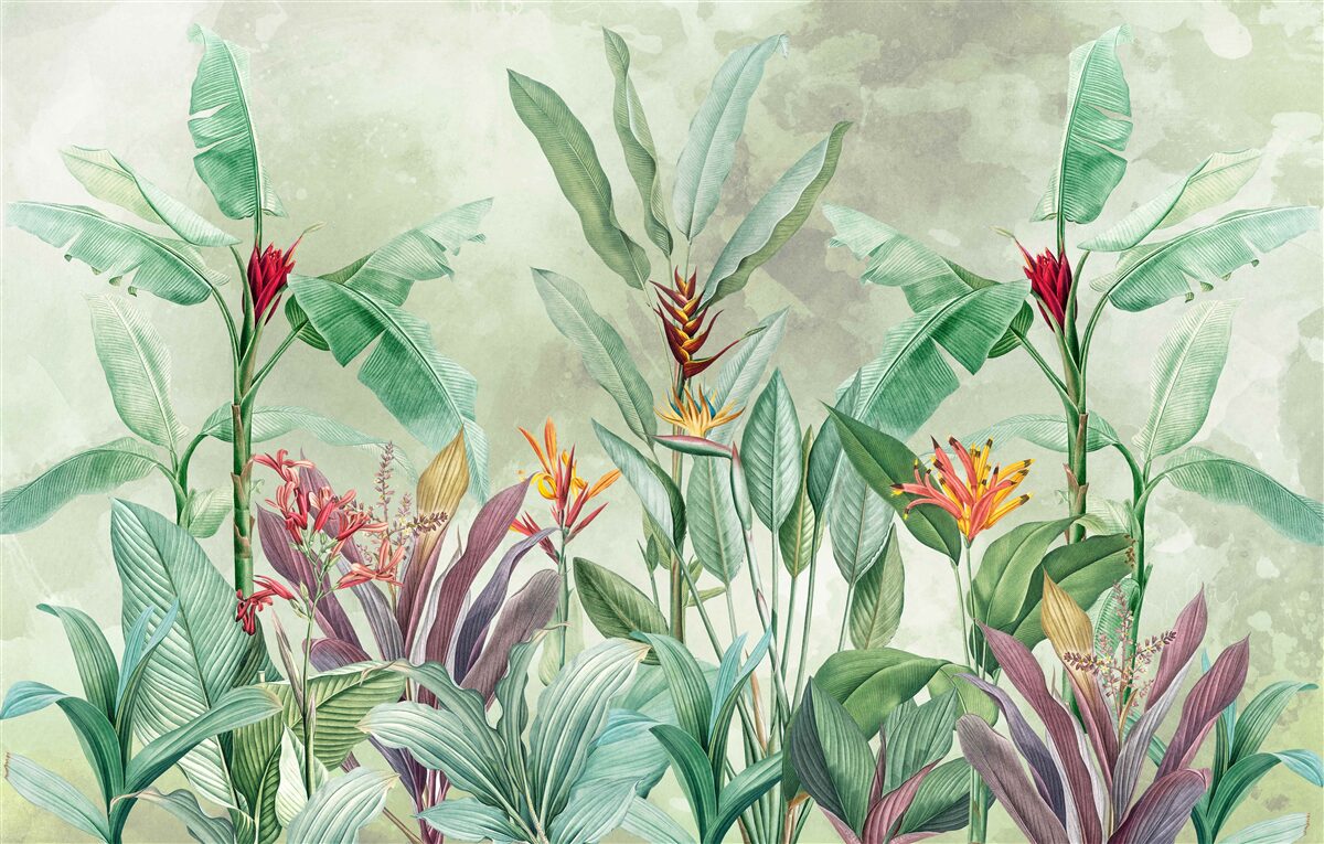 Фотошпалери долоні зеленіють і чекають на дощ