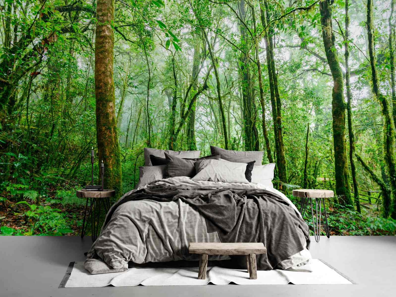 Фотошпалери освіжений після дощу ліс став смарагдовим