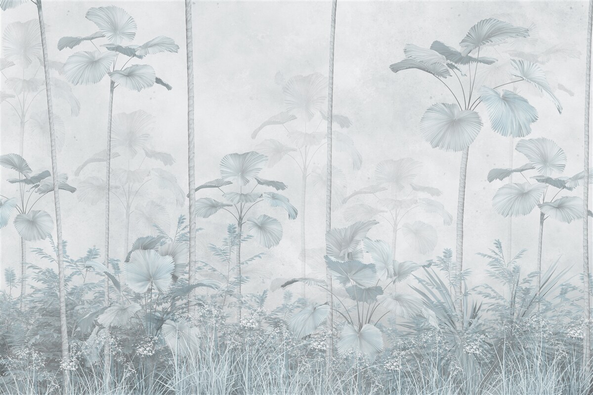 Фотошпалери густий туман у тропічному регіоні