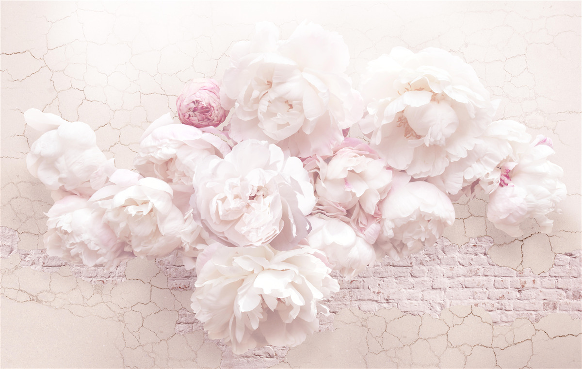 Фотошпалери пишні бутіки з квітами на скелястому тлі