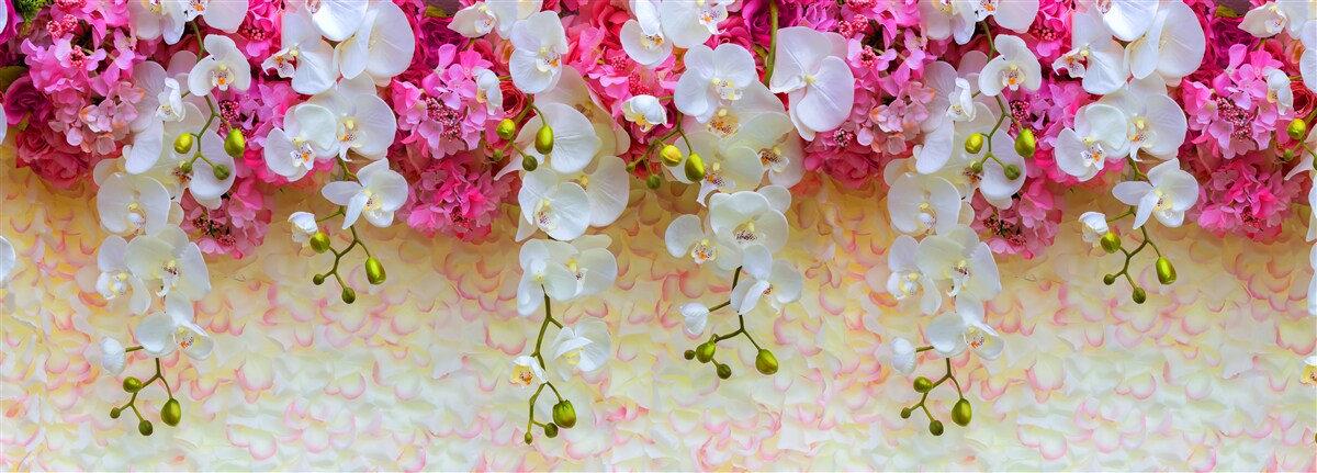 Фотошпалери орхідеї, квітки яких поникли