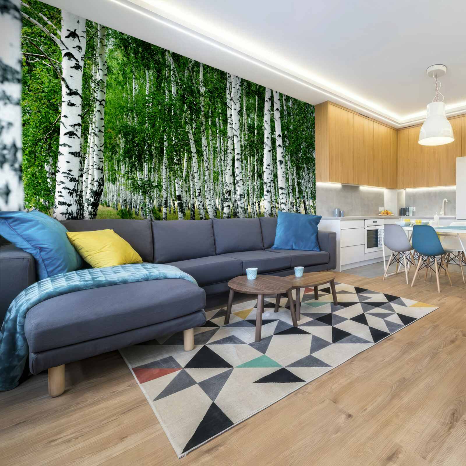 Фотошпалери зелені берези з витонченими стовбурами у відкритому полі