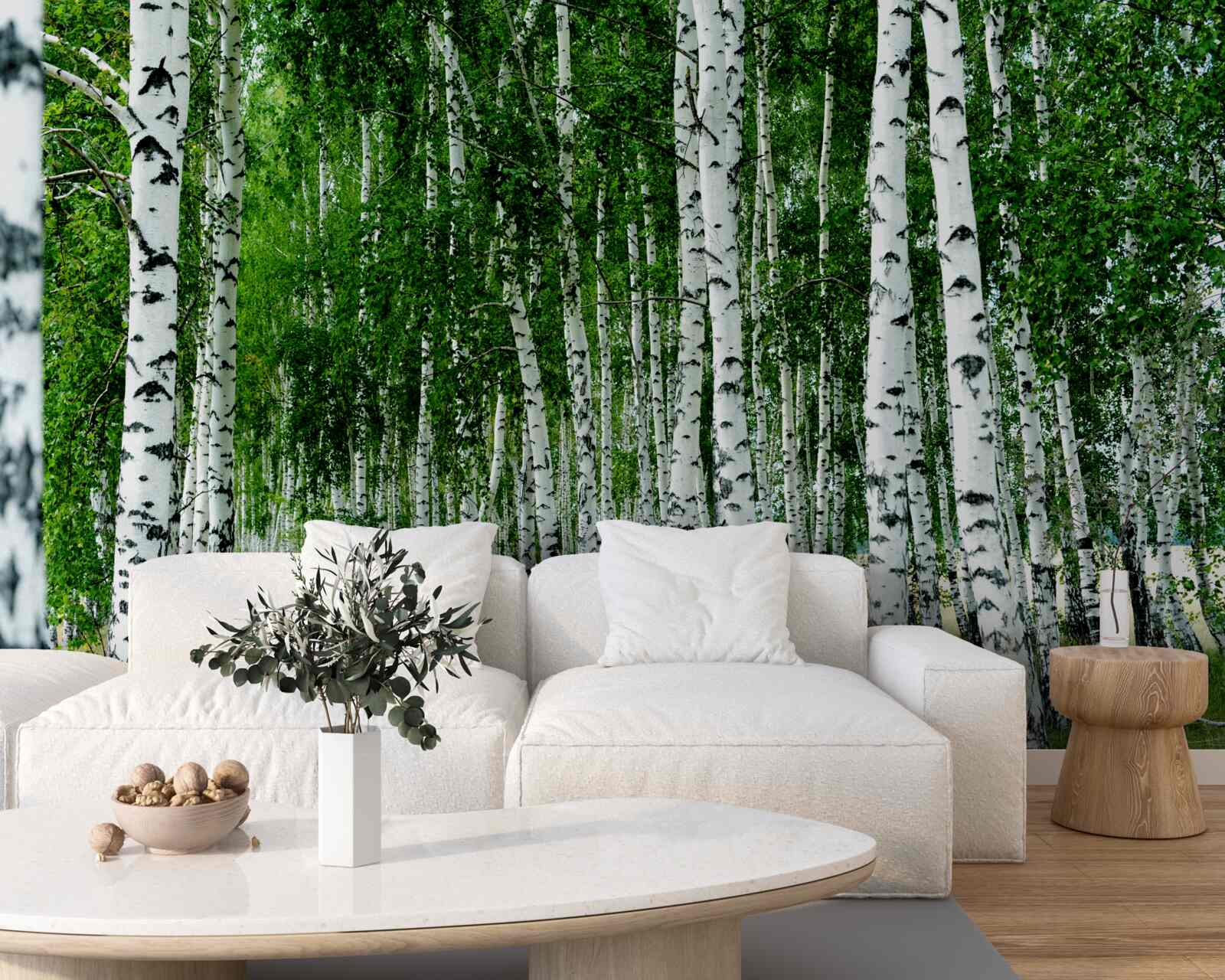 Фотошпалери зелені берези з витонченими стовбурами у відкритому полі