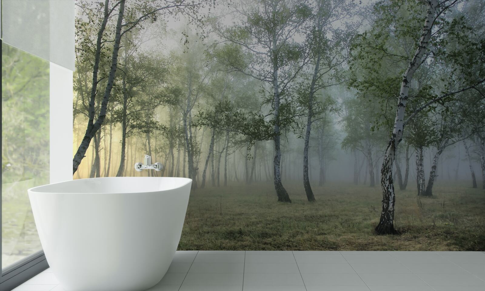 Фотошпалери високі берези, оповиті ранковим туманом