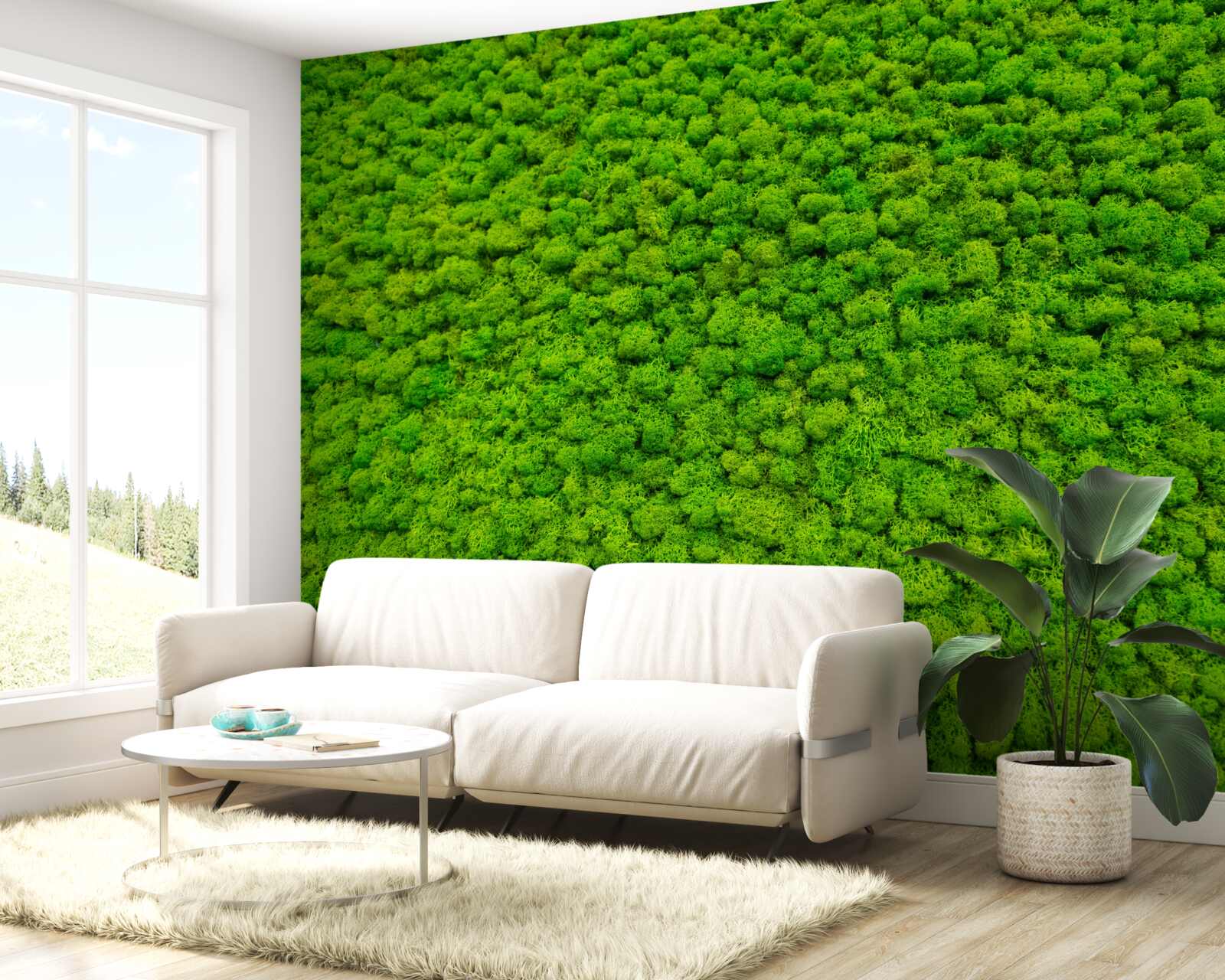 Фотошпалери вид на зелений листок з висоти