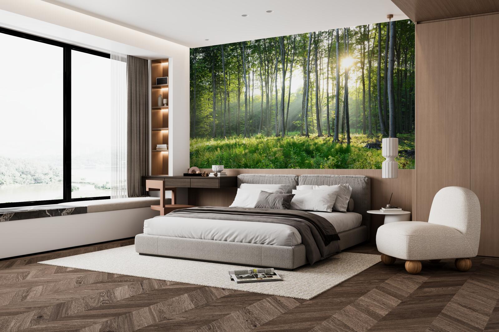 Фотошпалери місце на природі з видом на ранкове сонце в лісі