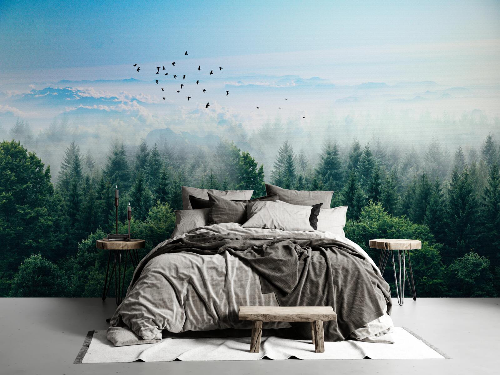 Фотошпалери птахи ширяють високо над кронами лісових велетнів