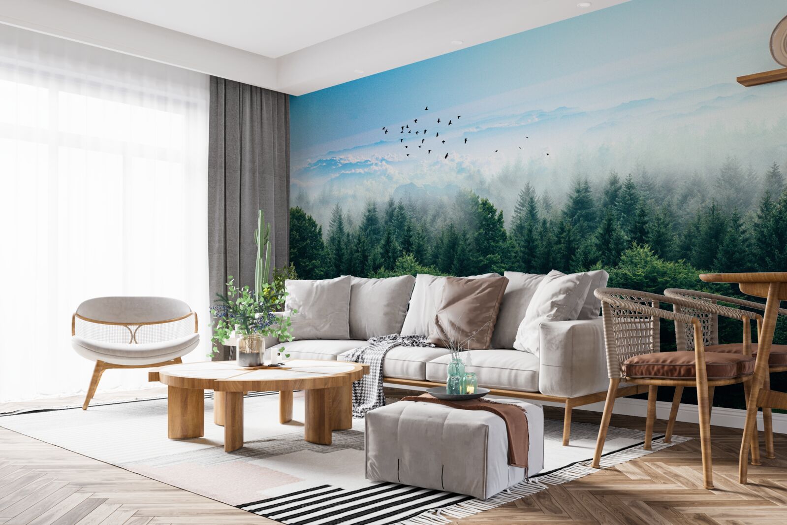 Фотошпалери птахи ширяють високо над кронами лісових велетнів