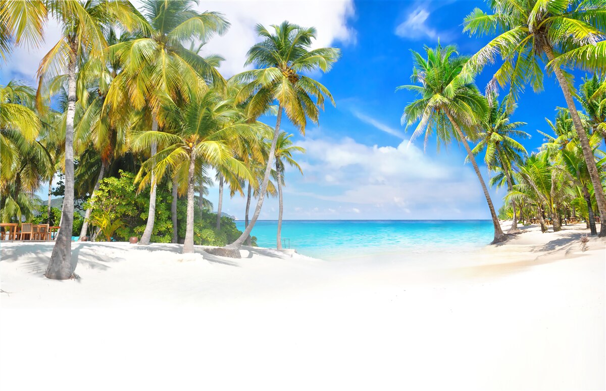 Фотошпалери берег океану з піщаною поверхнею