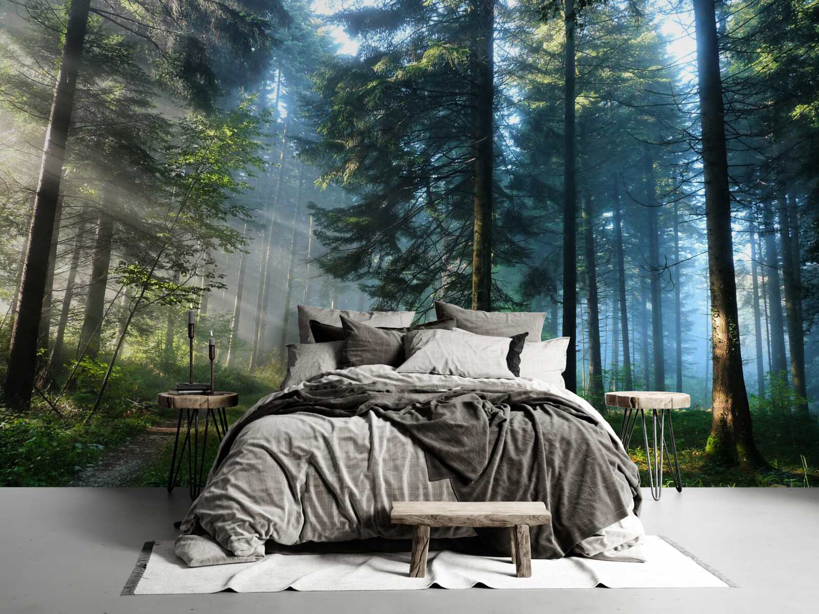 Фотошпалери Шлях через туманний ліс