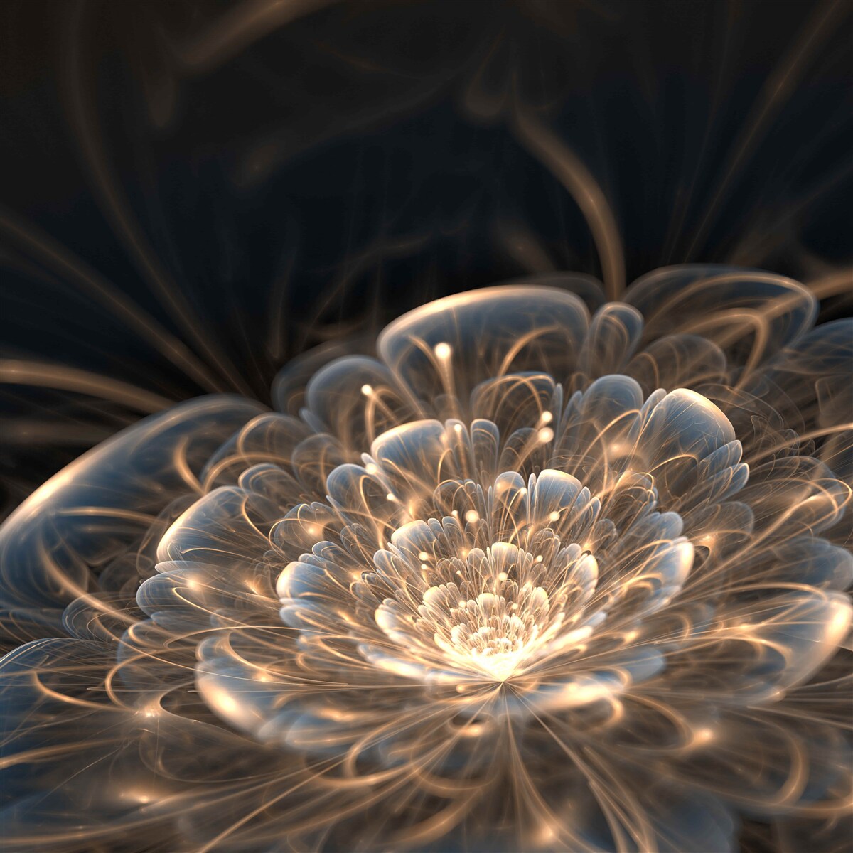 Фотошпалери велика квітка світла