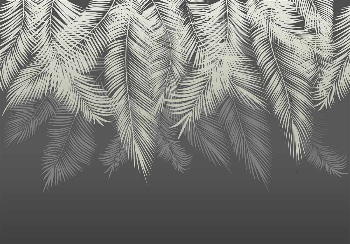 Фотошпалери папороть зникла в темряві ночі