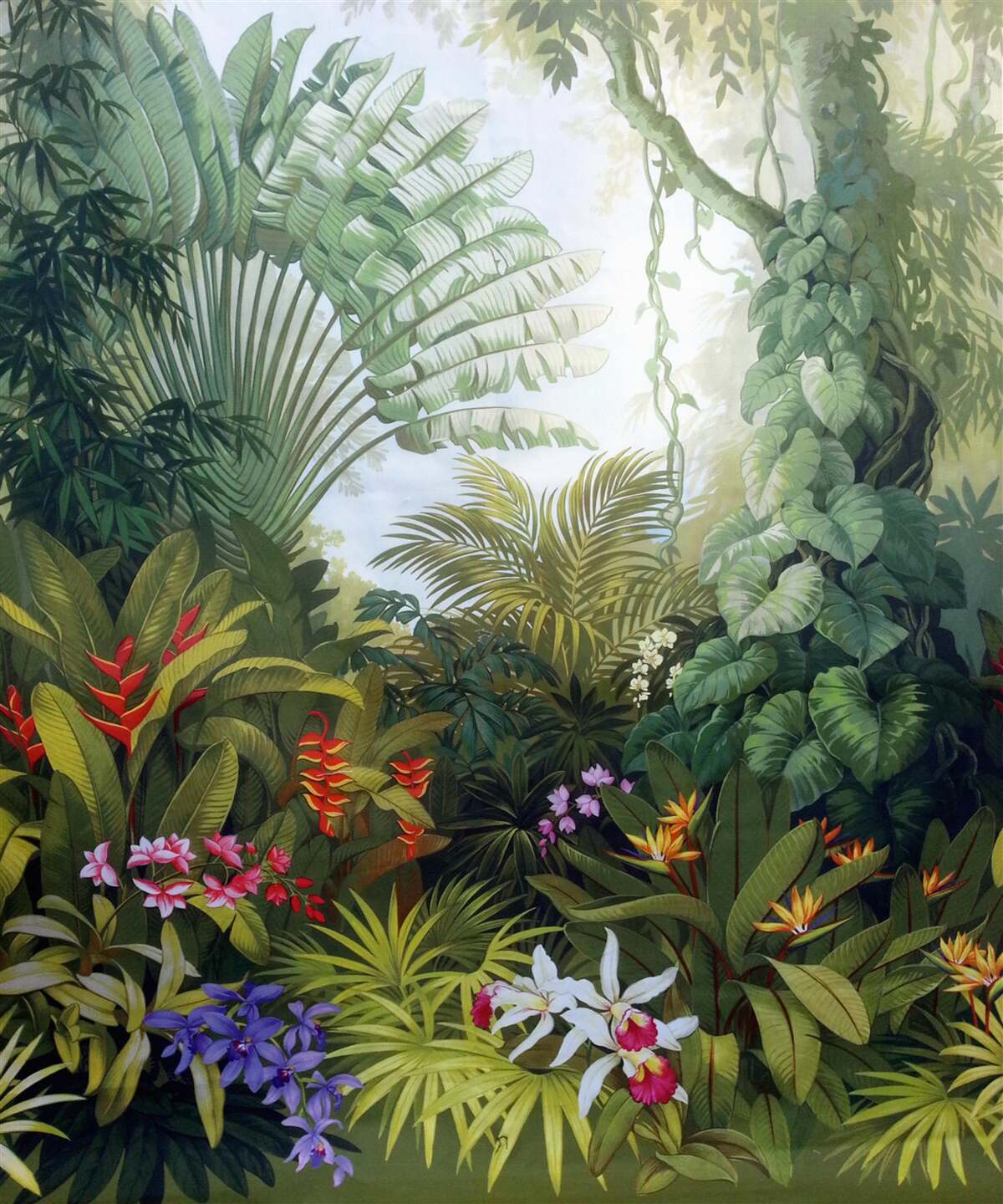 Фотошпалери захоплюючі та таємничі тропічні ліси