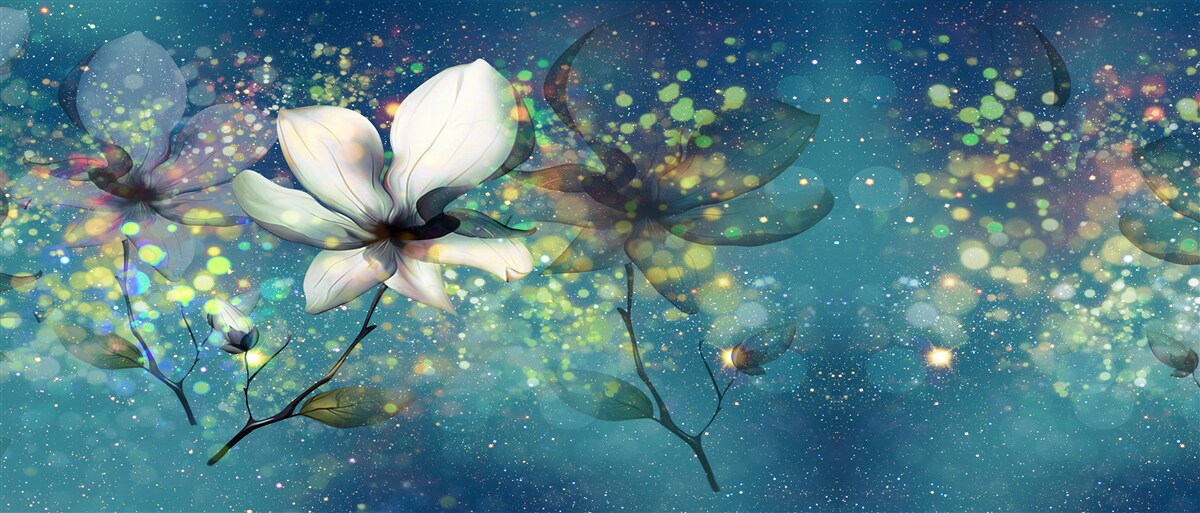 Фотошпалери квітка білого кольору в ніч, всипану зірками