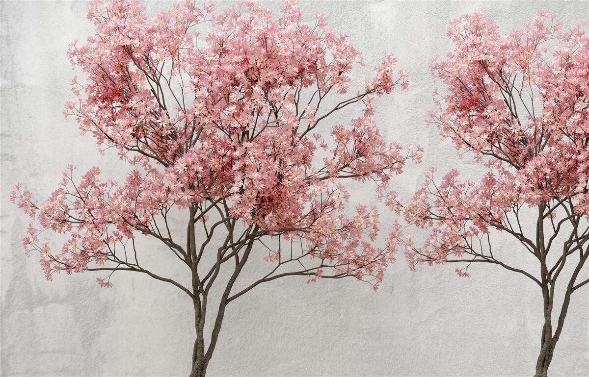 Фотошпалери ранковий туман оточує рожеві квіти сакури