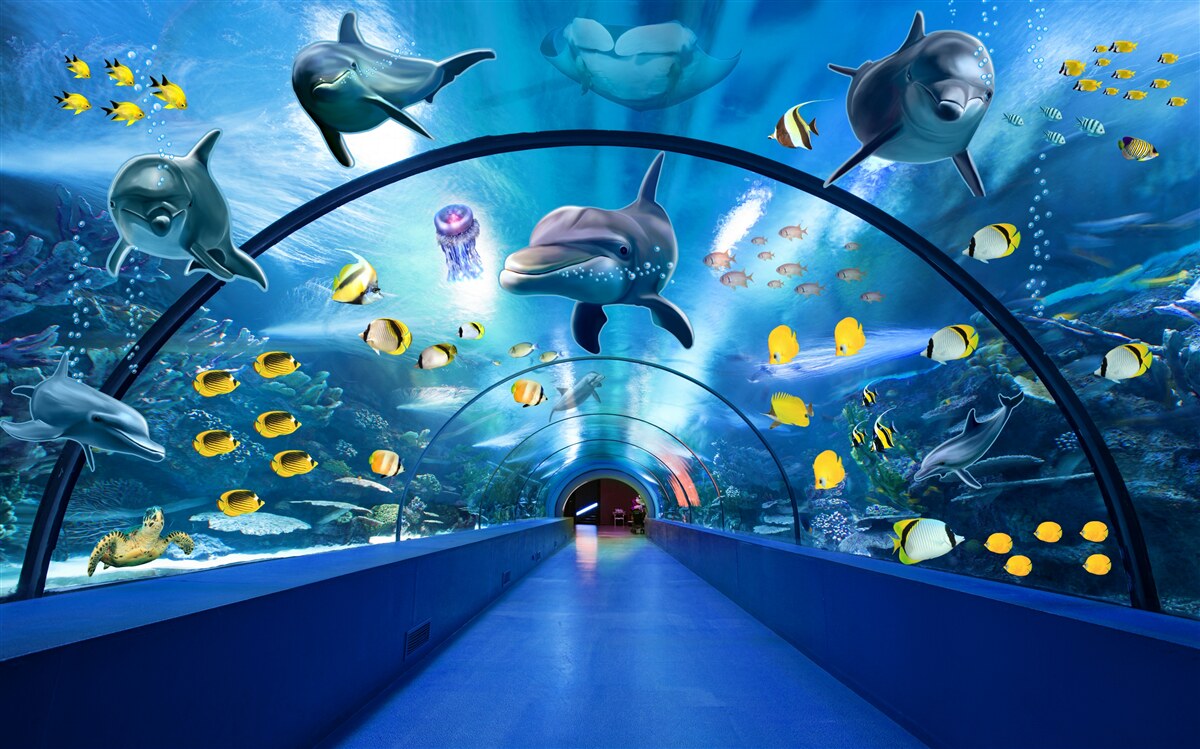 Фотошпалери в акваріумі є дельфіни та рибки
