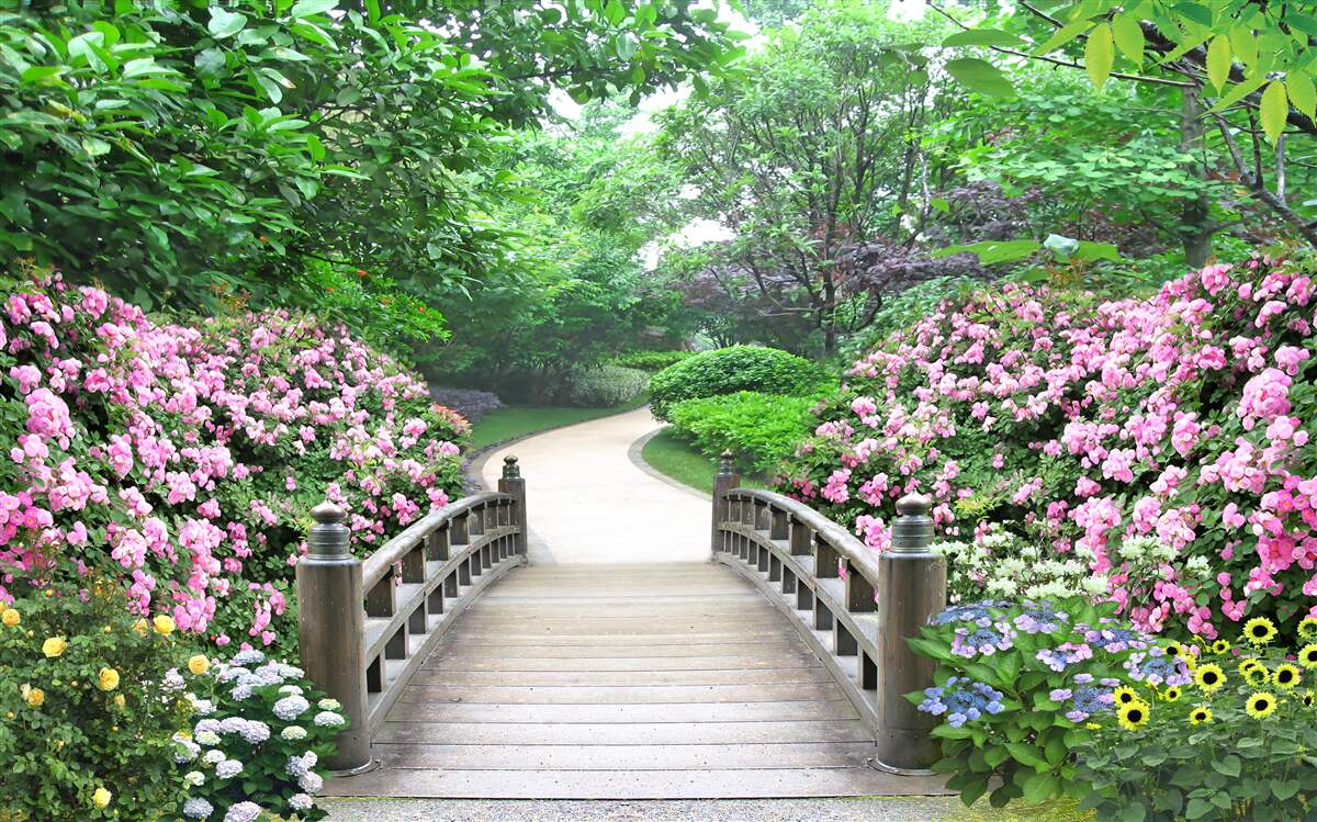 Фотошпалери мальовничий дерев'яний місток, що пролягає через квітучу зелень дерев