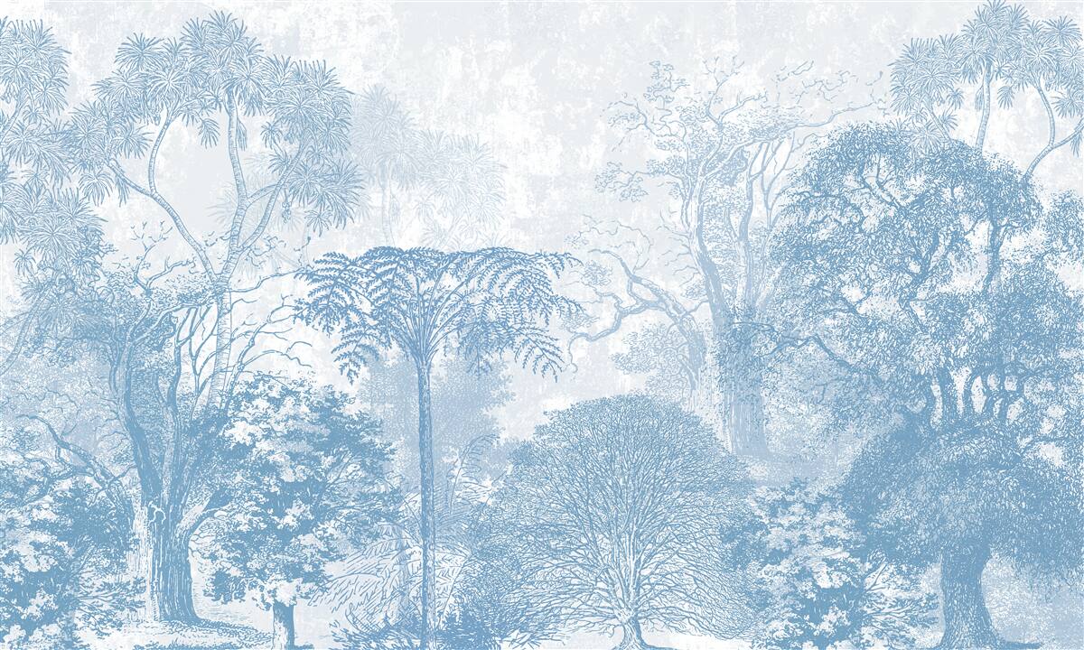 Фотошпалери чорно-біле зображення лісового пейзажу