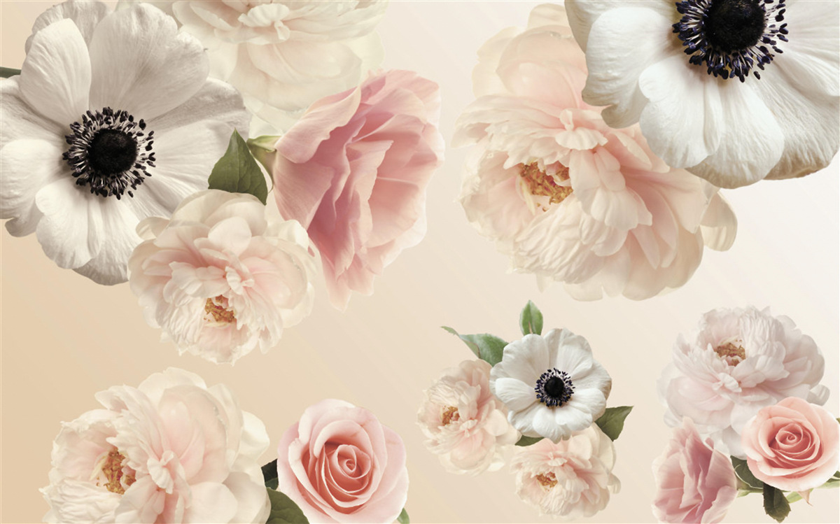 Фотошпалери рожева троянда з білим маком