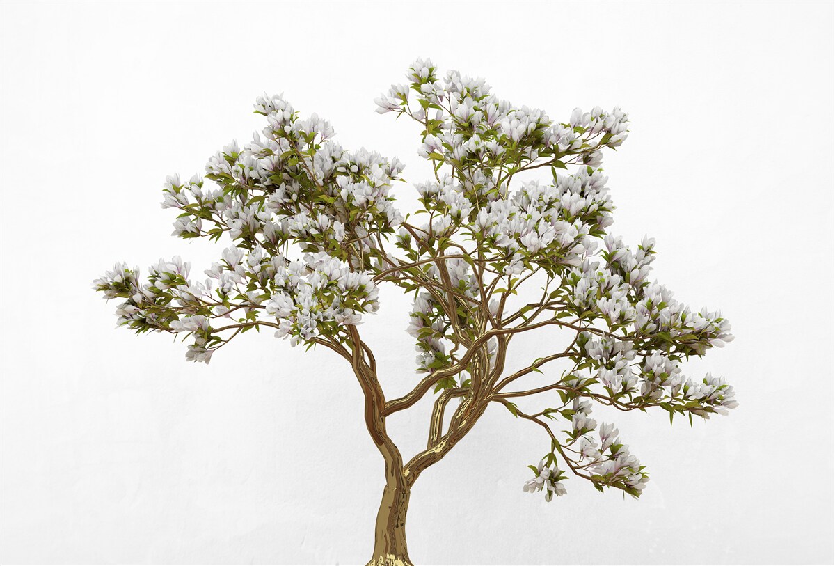 Фотошпалери одиночний бонсай має витончену красу